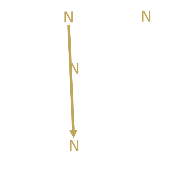 Building The Punnett Step 2
