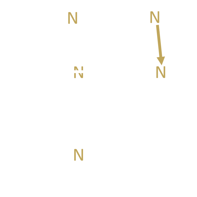 Building The Punnett Step 3